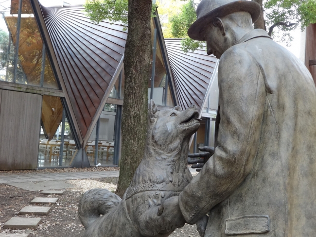 La statua di Hachiko felice, finalmente assieme al suo padrone