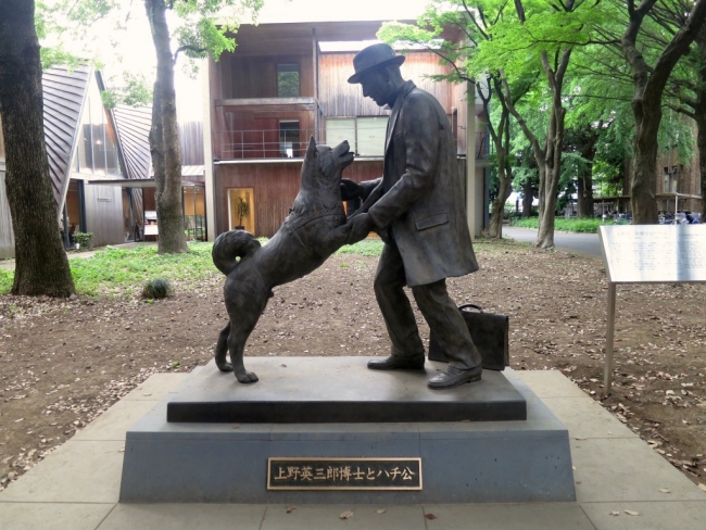 La statua di Hachiko felice, finalmente assieme al suo padrone