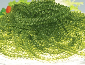 10 cibi davvero strani che si mangiano in Giappone