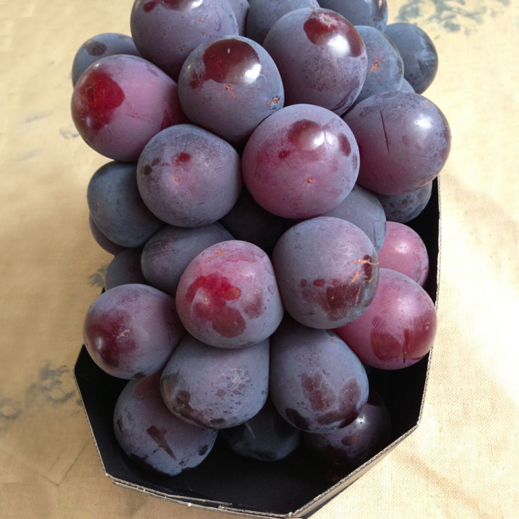 10 frutti strani e pregiati da provare assolutamente in Giappone