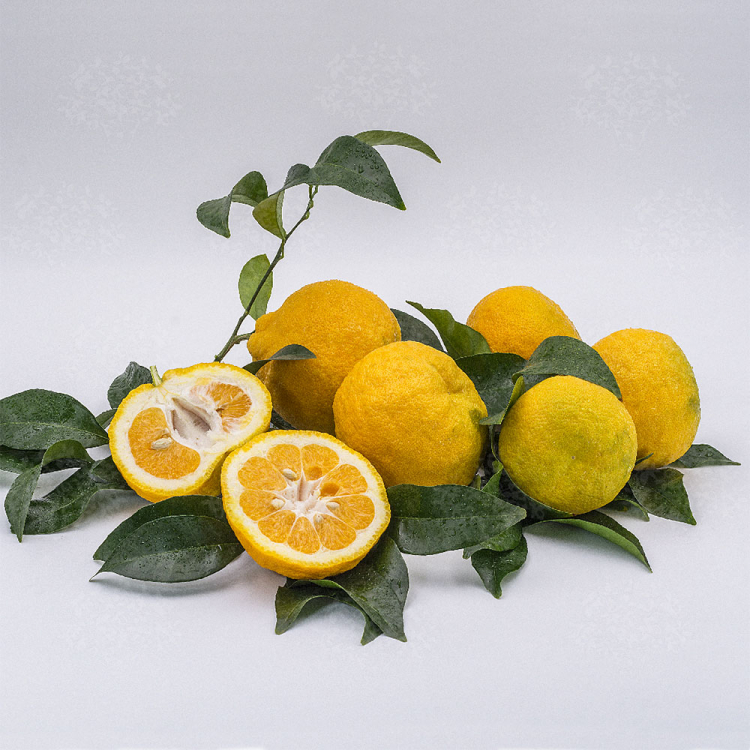 10 frutti strani e pregiati da provare assolutamente in Giappone