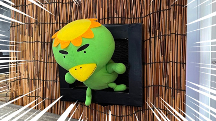 In Giappone c'è un'adorabile vecchietta che è un distributore automatico vivente