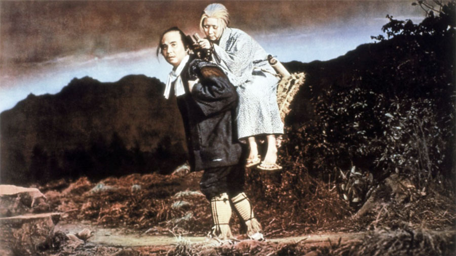 10 cose che non sai su Aokigahara