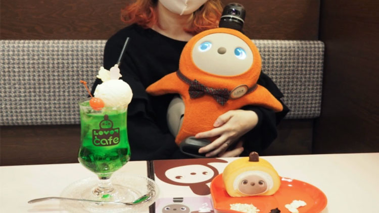 'Cuddle cafe' in Giappone