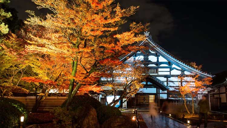Un tempio di Kyoto è alle prese con turisti che gettano rifiuti e non capiscono i divieti